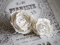 Songbird Plaster Roses